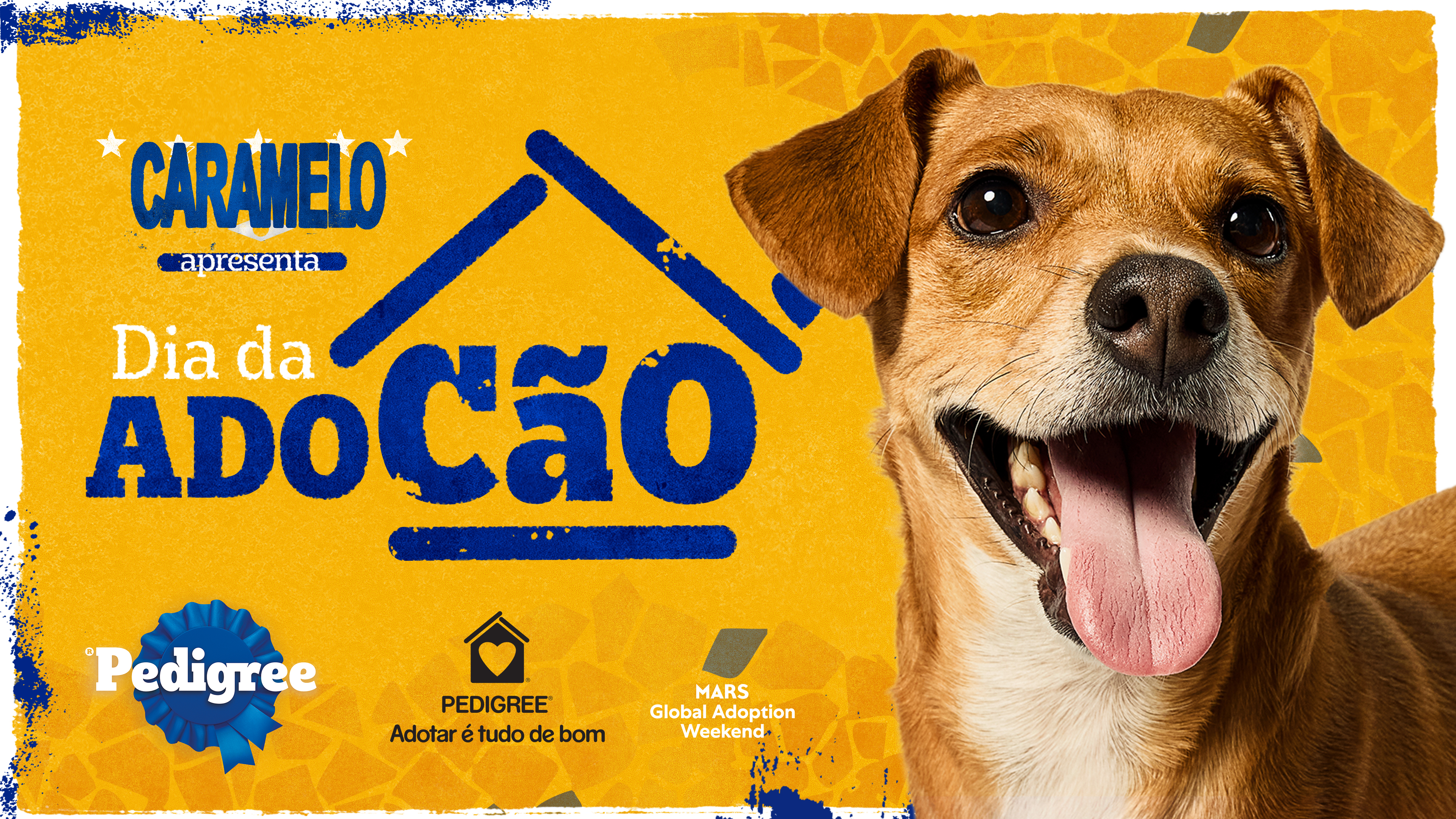 Pedigree - Dia da AdoCão